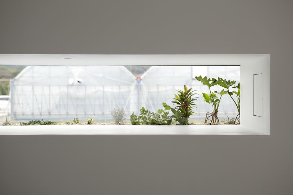 Aqua Ignis Ryokan Komono Ngoại thất bức ảnh